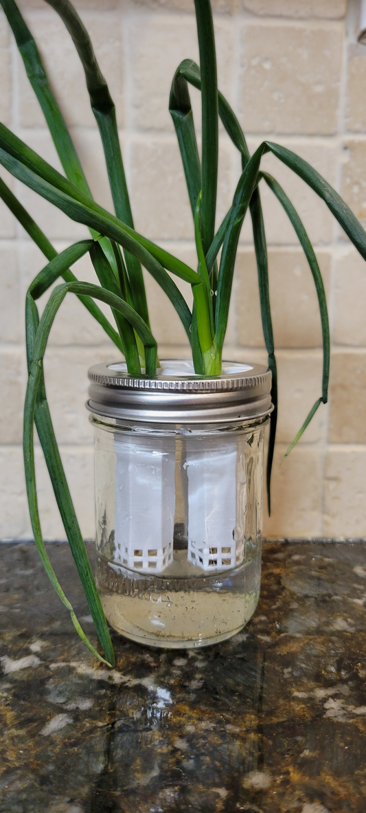 Guide pour Kit de de repousse - contenant Mason 250ml
