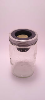 Hydro Mason Deco Kit 1L by Monark Dimension showing a clear container with decorative hydroponic stones and plant roots inside.