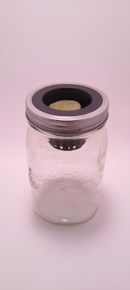 Hydro Mason Deco Kit 1L by Monark Dimension showing a clear container with decorative hydroponic stones and plant roots inside.