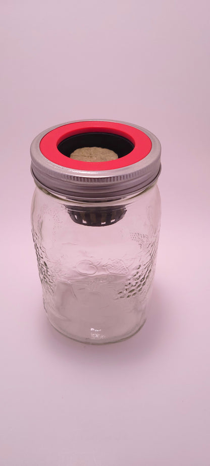 Hydro Mason Deco 1L kit by Monark Dimension showing a transparent container with decorative hydroponic plants and vibrant lighting.